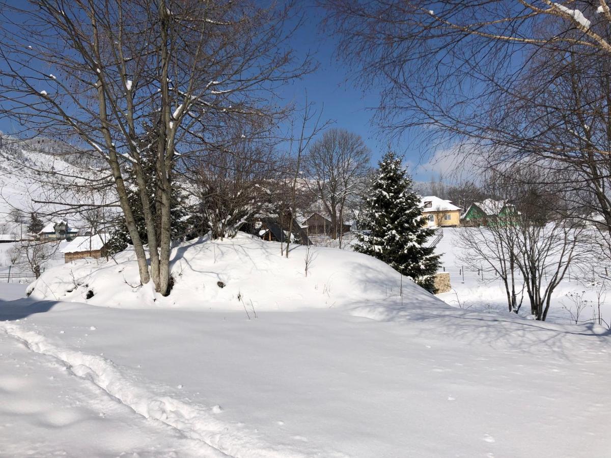 Domeniul Valea Lupilor- Pensiunea Valea Cu Struti Şirnea Esterno foto